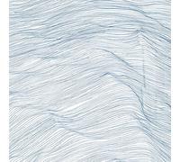 Two Centuries - Qasim Naqvi / Wadada Leo Smith / Andrew Cyrille (Vinile)