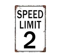 Two Fast Birthday Decorations - 20 x 30 cm, cartello vintage con limite di velocità per il 2° compleanno, divertenti cartelli in metallo, decorazioni per auto da corsa, poster artistico da parete per