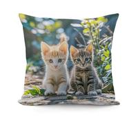 Two Little Cats Decorativi Federa Robusto Copricuscini Personalizzato Federe Copricuscino per Primaverili Esterni Casa 45X45Cm