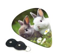 Two Little Cute Rabbits - Confezione da 6 plettri per chitarra con porta plettro in pelle, portachiavi, custodia per plettro, arte astratta, per chitarra elettrica acustica, ukulele, 0,96 mm