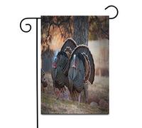 Two Male Turkeys Strutting On Grassy Meadow Full Feather Bandiere Resistente Alle Intemperie Bandiera Colore Vivido Bandiera Da Giardino Per Cortile Prato Giardino 30X45Cm