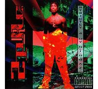 Two Pac – Strictly 4 My N I G G A Z – INTERSCOPE