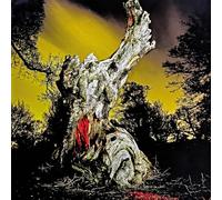 Two Wrongs Don't Make A Right