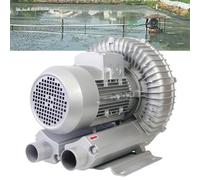 twostronking Soffiante a Turbina Monofase, 120 W-1100 W Opzionale, Volume d'Aria Massimo 210 M³/H, con Filtro Antipolvere E Alloggiamento in Alluminio, Soffiaggio-Aspirazione a Doppio Scopo,750W