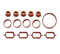 Twowinds Guarnizioni Collettore Compatibile con BMW M47 E46 E39 E90 (14) | Compatibile con E87 118d / 120d 2.0d M47, E46 318d / 320d 2.0d M47, E60 / E61 2.0d M47