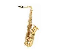 TWTCZOZ Kit per Sassofono Contralto in Ottone | Dorato, Sassofono Contralto Professionale, per Scuola, Studenti