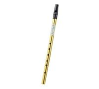 TWTCZOZ Penny Whistle Robusto Tin Whistle Per Principianti, Portatile, a Sei, Scuola, Casa, Bambini, Oro, D Key