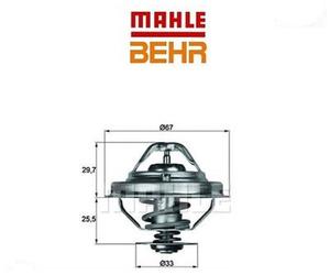 TX3880D Termostato, Refrigerante (BEHR)