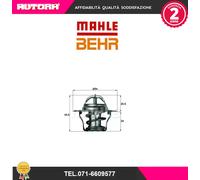 Termostato, refrigerante BEHR MAHLE TX 4 87D