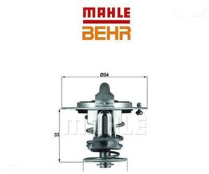 TX7282 Termostato, Refrigerante adat.Austin-Ford-Mazda (MARCA-BEHR)