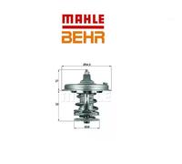 TX7883 Termostato, Refrigerante (BEHR)