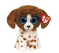 TY - Peluche - Beanie Boos - Cane - Muddle - Marrone e Bianco con Macchie - Occhi Azzurri Grandi e Glitter - Il Morbido Pupazzo con Gli Occhi Grandi Scintillanti - 28 Cm - 36487