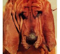 TY SEGALL - Goodbye Bread