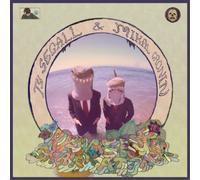 Ty Segall & Mikal Cronin Reverse Shark Attack (CD) Album