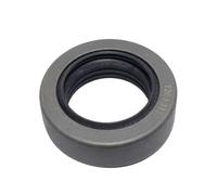 TYBOPHQJ Guarnizione dell'albero Rotante della Pompa idraulica Modello 25,4 * 38,1 * 11 o 25,4 × 38,1 × 11