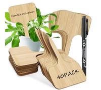 TYBYBB 40 cartelli per piante da scrivere, in legno a T, per esterni, resistenti alle intemperie, per piante, giardino, ortaggi