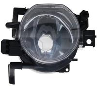 TYC 19-0660-01-9 Fendinebbia per BMW