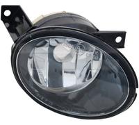 TYC 19-0826-01-9 Fendinebbia per VW