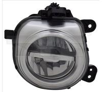 Faro fendinebbia alogeno Dx LED 19-12571-00-9 TYC per BMW X3 X5 X4 X6