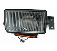 TYC 19-5038-05-2 Fendinebbia per BMW