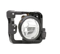 Goodpart TYC 19-5958-11-2 - Fendinebbia