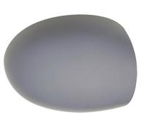 TYC 328-0169-2 Copertura, Specchio esterno