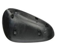 Alloggiamento, specchietto retrovisore esterno BLIC 6103-10-015353P