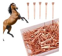 Tyenaza Chiodi per Ferro di Cavallo da 250 Pezzi, Strumenti per Ferro di Cavallo Placcati in Rame Chiodi per Ferro di Cavallo per Addestramento del Cavallo Sport Equestri Equitazione(51mm)