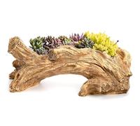Tyenaza Vaso da Fiori per Piante Grasse, Fioriera in Resina per Piante Grasse, Ceppo di Radici d'Albero Vintage, Come Vaso per Fiori, per la Decorazione del Giardino di Casa (37,1x13x10,9 cm)