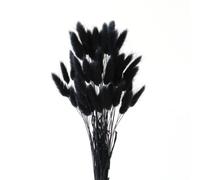TYEQWT 50 Bastoncini Pampas Fiori di Coda di Coniglio Essiccati, Fiori Essiccati di Bunny Tails, Erba di Pampa Essiccata Naturale, Adatto per Pampas Decorative, Fiori Secchi per Bomboniere (Nero)