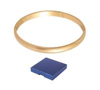 TYFGRT 1 Braccialetto Ad Anello Pigmentato Oro, 1 Portagioie, Braccialetto in Acciaio Inossidabile per Donna, Braccialetto per Ragazze, Adatto Come Regalo per Ragazze