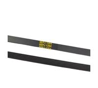 TYGHBNM 1 pz. Cinghia Motore for Lavatrice a Tamburo 5PJ1264 5PJE1264 5EPJ1264, Compatibile con Samsung