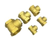 TYGIYY 1 valvola di ritegno a Battente in Ottone - da 1/2" a 2", prevenzione del riflusso a Bassa Pressione for impianti Idraulici e di irrigazione(1-1/4 inch)