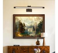 TYhogar LED Specchio Bagno 60cm 15W 3 Temperatura di Colore Dimmerabile + Luce di Immagine LED Dimmerabile Senza Passo con Testa di Lampada Girevole Arco Braccio Specchio Illuminazione Lampada