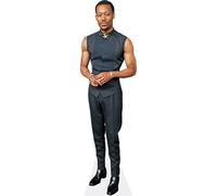 Tyler James Williams (Vest) a grandezza naturale