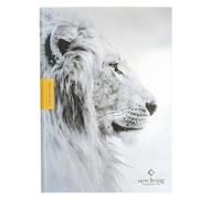 Tyndale NLT Courage for Life Study Bible for Men (Hardcover, (Copertina rigida)