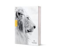 Tyndale NLT Courage for Life Study Bible for Men (Softcover, Filamen (Tascabile)