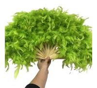 TYNXK Ventaglio con Piume Large Red Feather Fan for Stage Performance, Photography Props, Folding, Wedding Party Decoration, 70x40cm(Light Green)