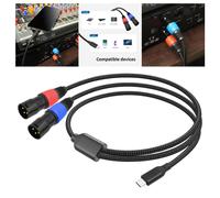 Type-C a 2 XLR Cavo Aux Aux Cavo ausiliario Stereo Stereo Slitter Filo del cavo