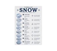 Types of Snow Identification Poster Winter Weather Guide