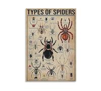 Types of Spiders and Arachnids Poster, Species Identification Chart with Venomous and Non-Venomous Species, Educational Science Wall Decor(Framed,16x24inch(40x60cm))