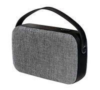 Typhoon TM042 - Altoparlante portatile XL Bluetooth (4.1), 10 W, con vivavoce, radio FM e slot per schede micro-SD, nero/argento