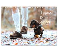 Typical Dachshund 2027 (Wall Calendar 2027 DIN A4 landscape), CALVENDO 12 Month