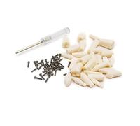 Typodont Modello Modello Denti Modello Denti Modello di Insegnamento Denti Modello Con Dente Rimovibile 28/32 Denti Modello/Set