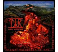 Týr A Night at the Nordic House (Vinyl LP) 12" Album