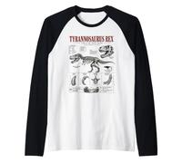 Tyrannosaurus Rex Fossil Guide Museo Anatomia Arte Maglia con Maniche Raglan