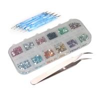 TYREE 3000 pezzi 2 mm 12 colori chiodo d'occhio d'arte strass punte 5 x 2 medio penna a punta + pinza