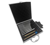 TYREE Set di 10 Diapason Pezzi, Diapasons per la guarigione della terapia sonora dei chakra, mantenere il corpo in argento