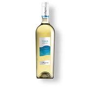 Tyrsos Vermentino di Sardegna - Vino Bianco Cantina Contini (6)