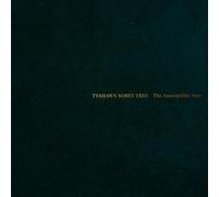 Tyshawn Sorey - The Susceptible Now